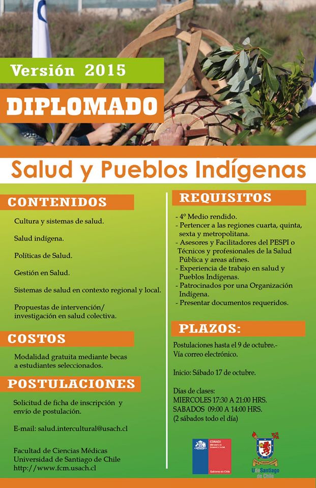 afiche diplomado