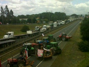 camioneros-araucania