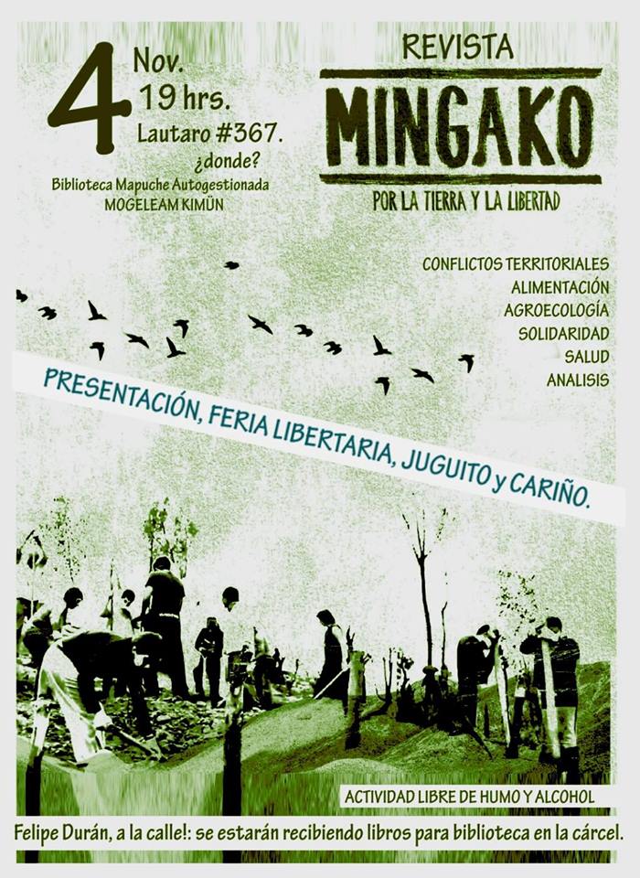 revista mingako