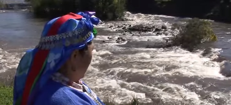 maria teresa panchillo