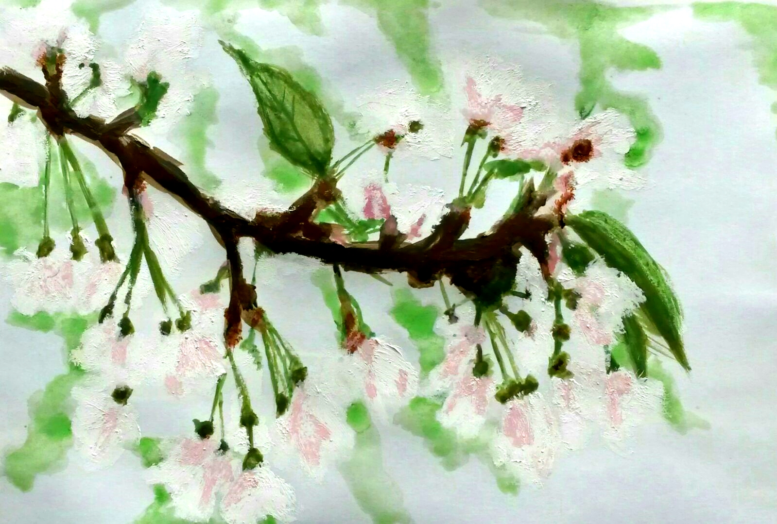 Flores del Cerezo - R. Leiva (T. Mixta óleo y acuarela)