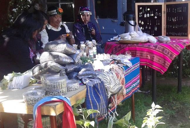 feria autogestionada mapuche