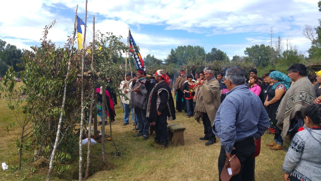 16145672_10211607052275599_1960602880_o