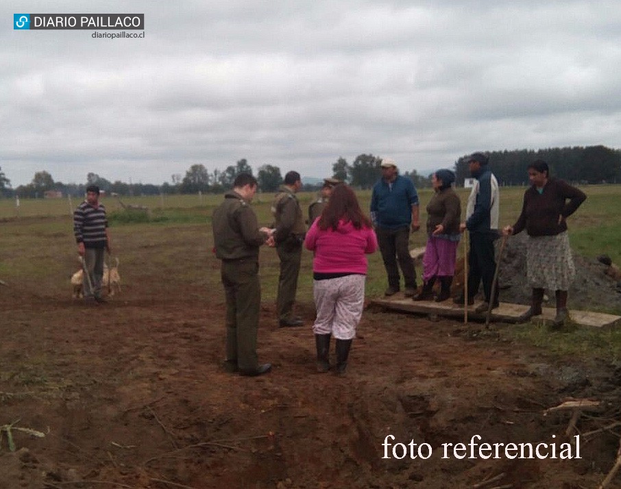 Mapuches atacados por alemán denuncian que ahora le destruyeron las siembras