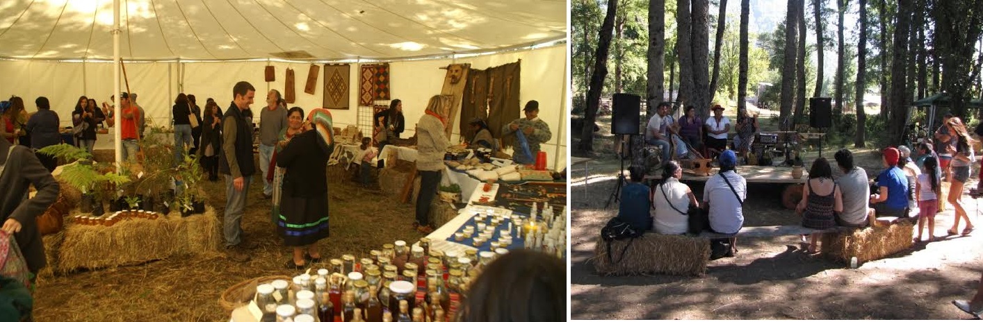 Sabores ancestrales y cultura al aire libre en esta 11 º versión de la Feria, Walüng de Curarehue
