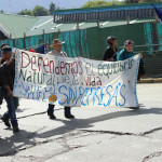 Marcha Puelo en Valdivia 12