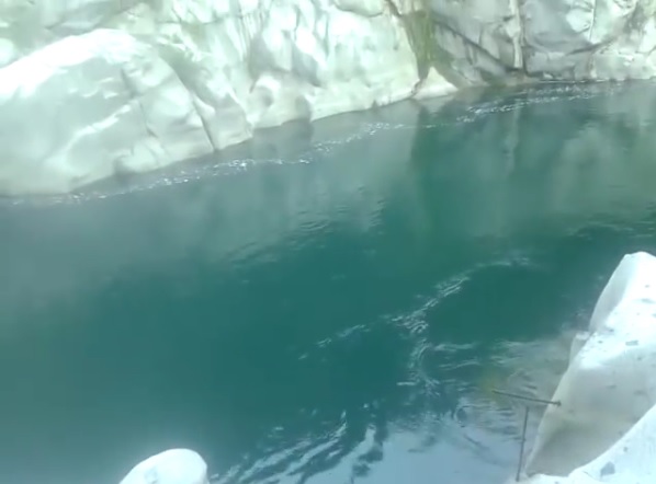 DENUNCIA: VERTIMIENTO DE TOXICOS (RILES) EN RIO ÑUBLE