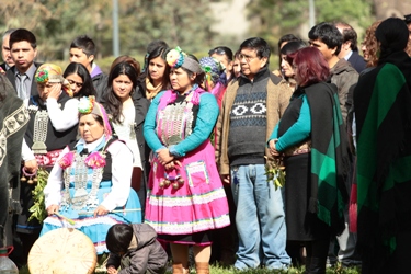 Convocan a participar en diplomado de Salud y Pueblos Indígenas