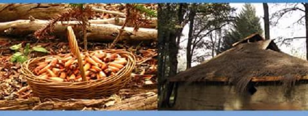 En Curarrehue se realiza la Feria Pukem hasta el domingo 24 de julio