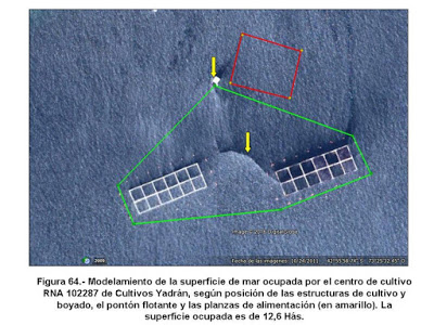 CODEFF y Comités de Defensa del Borde Costero de la Región de Los Lagos inician la erradicación de la Industria Salmonera