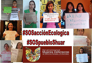 Entregan carta de solidaridad internacional con acción ecológica y Pueblo Shuar