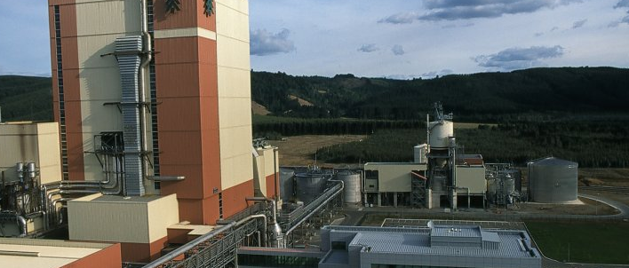 Citan a Celulosa Arauco tras detectar malos olores industriales en planta de Valdivia