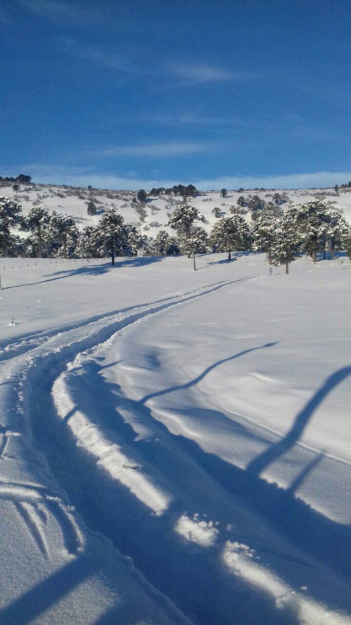 Solicitud de ayuda: Alertan por dura situación climática en el PewenMapu