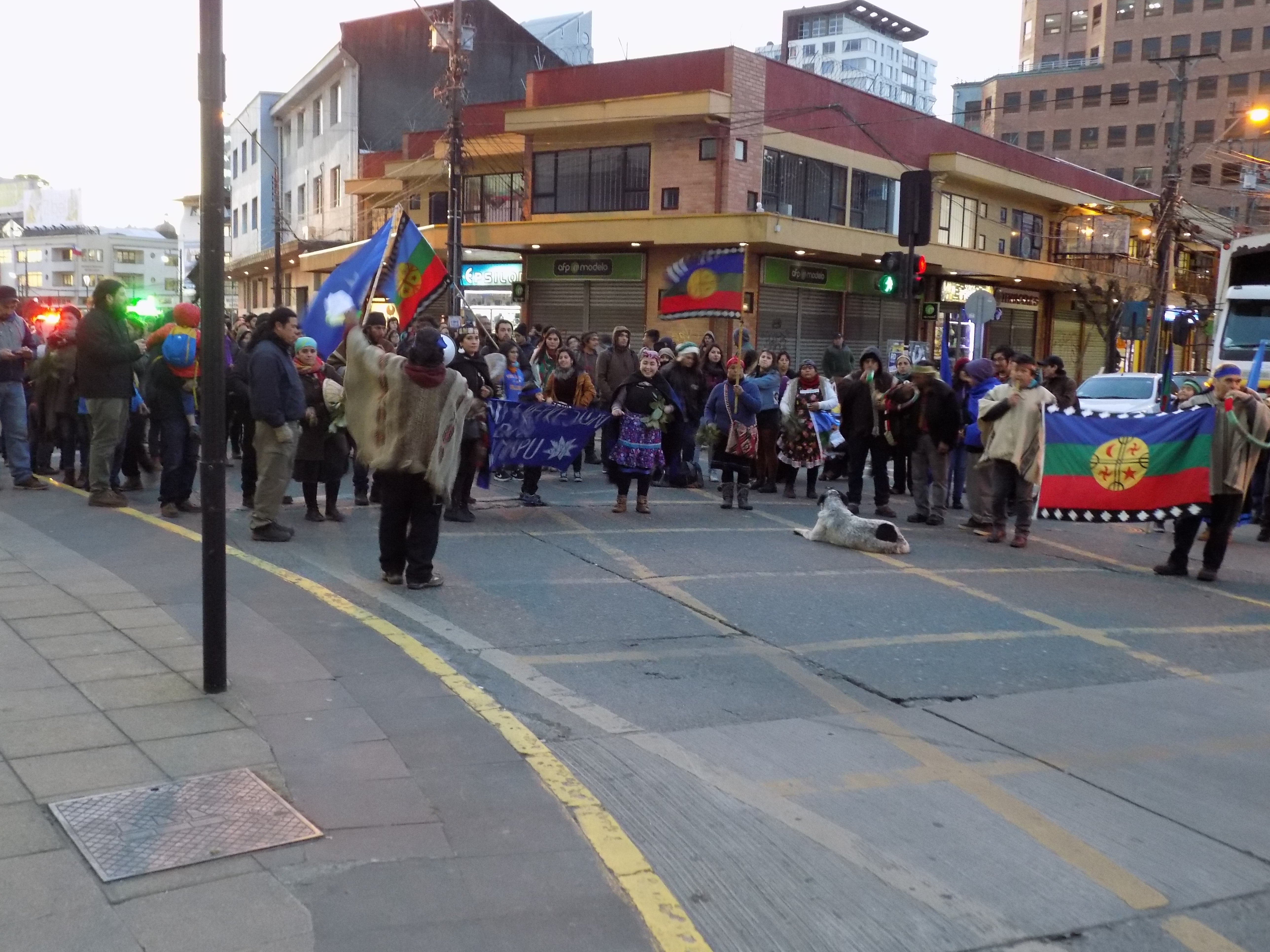 Melipulli (Puerto Montt): Comunicado Público de comunidades Huilliche en solidaridad con presos políticos en huelga de hambre