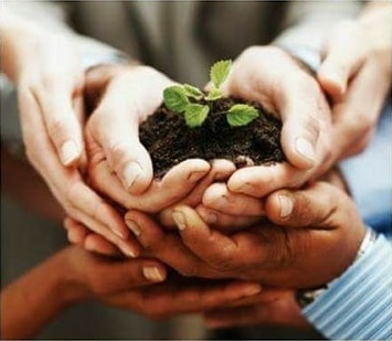 Otras economías son posibles: Importantes encuentros se realizan en Wallmapu