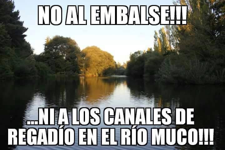 Comunidades en Defensa del Río Muko: «Realizamos el ngellipun para rogar por el territorio, nuestro Leufv (Río) y por pu Lonko, pu peñi ka pu lamgen que avanzan defendiendo la tierra»