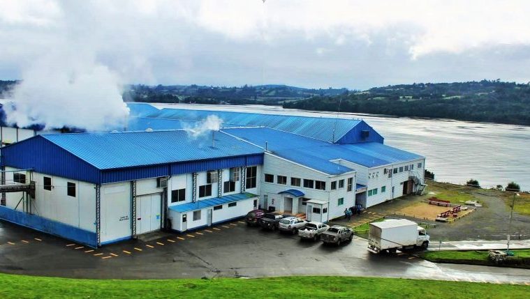 Comunidad williche de Chiloé acusa a empresa española de ocupar borde costero ilegalmente con complicidad del Estado