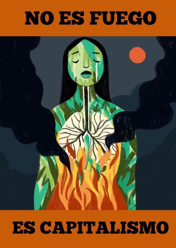 La Amazonía devorada por el saqueo capitalista