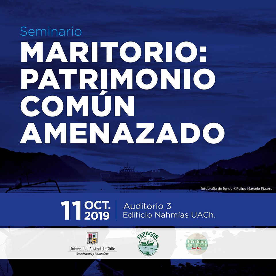 Valdivia: invitan a seminario “Maritorio: patrimonio común amenazado”