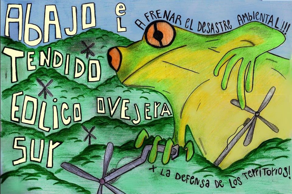 Investigadora Ximena Cuadra se refiere al proyecto eólico Ovejera Sur que afectará a comunidades de La Unión y Paillaco