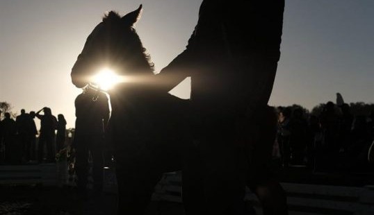 Chile: Pueblos Indígenas combaten el COVID-19 con prácticas ancestrales