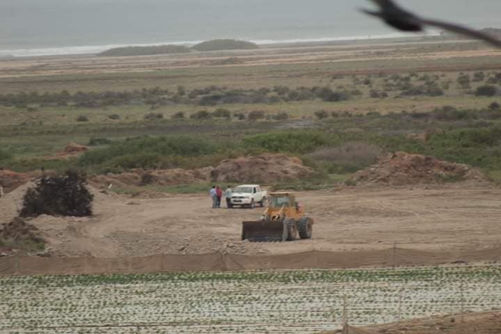 Comité Ambiental de Arica rechaza intervención del Santuario Humedal del Río Lluta