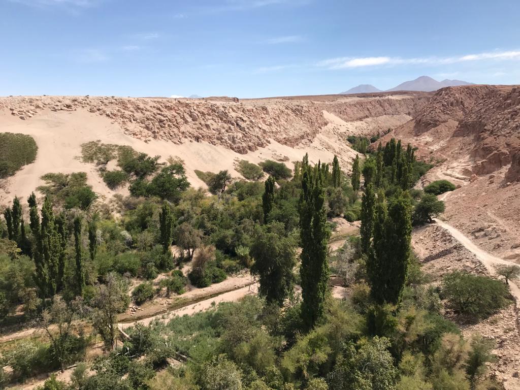 Proyecto de Ley que promueve modificación de participación indígena ante SEIA genera críticas