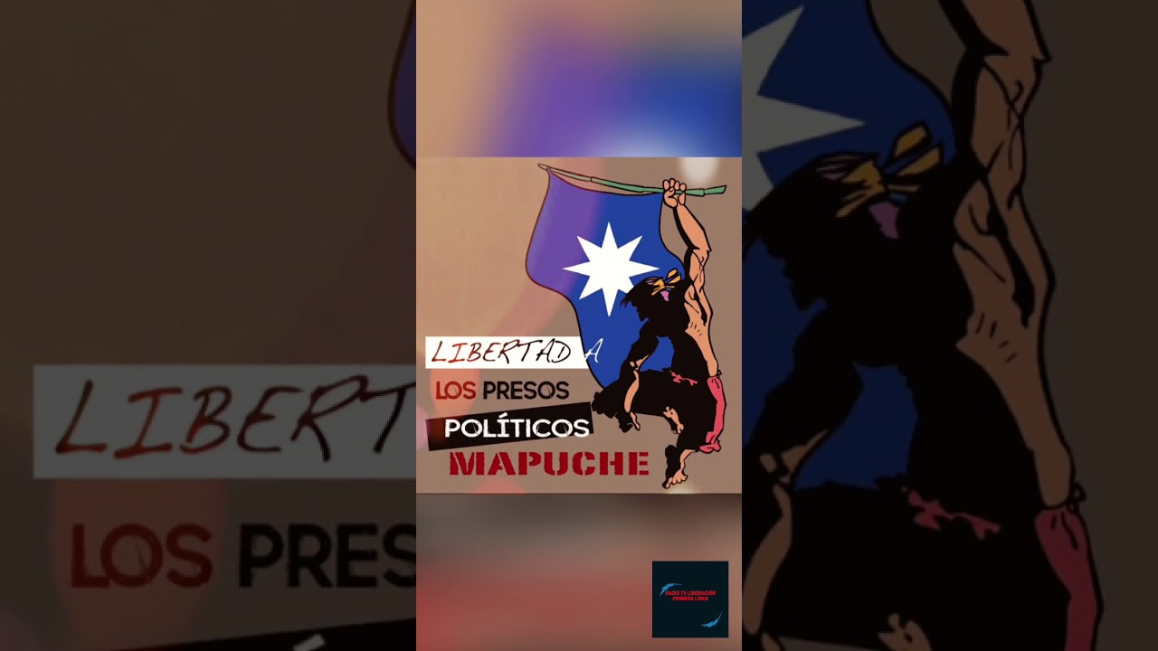 Entrevista a Giovana Tafilo, vocera del Machi Celestino Córdoba en Huelga Hambre