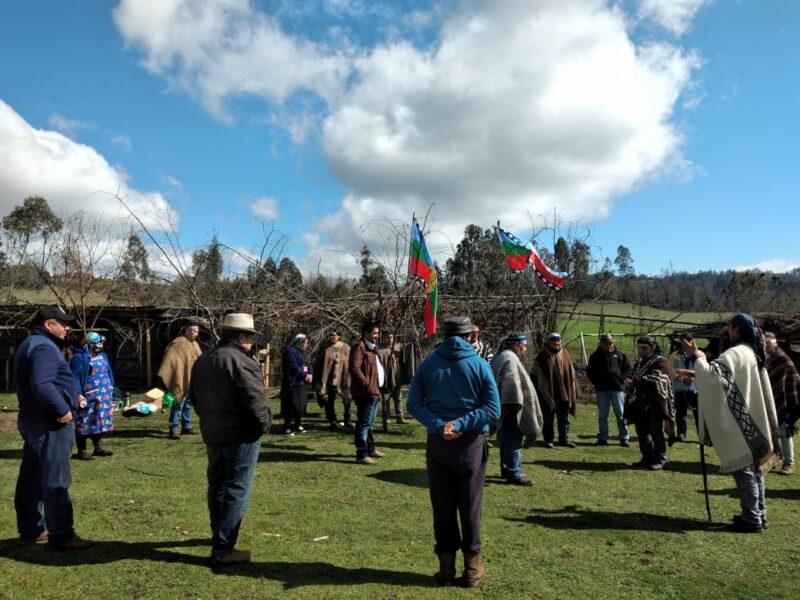 Pu Logko de Karawe invalidan reunión de Piñera con «Pseudo Logko Mapuche»