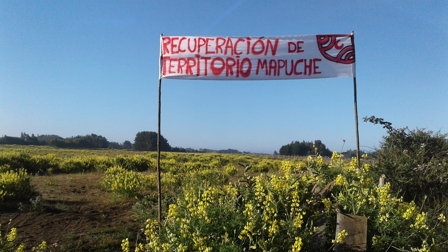 Lof Antiquina inicio nuevo proceso de recuperación de tierras