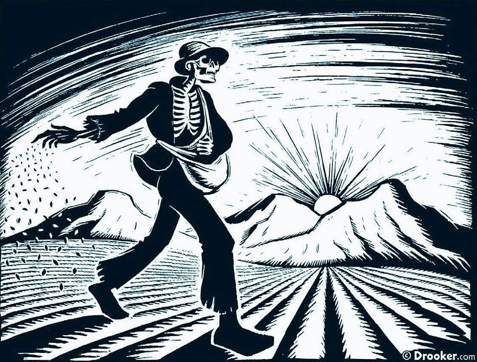 Chile: Con urgencia, invitan a manifestar rechazo por consulta que delega a Corporaciones Agroquímicas el registro de plaguicidas