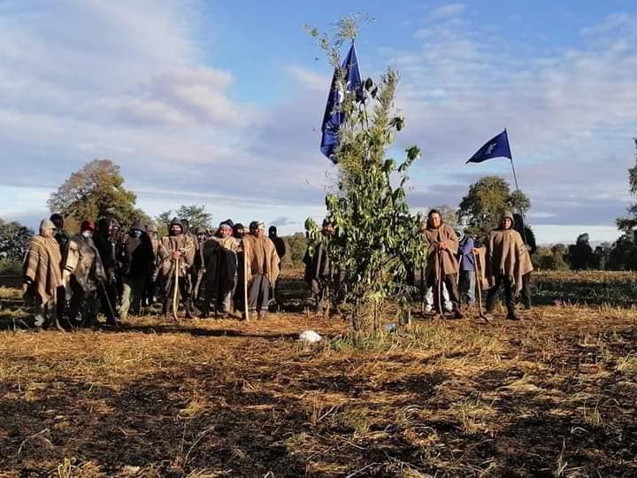 Lof Radalco: nuestra comunidad seguirá ejerciendo el control territorial hasta recuperar nuestra mapu