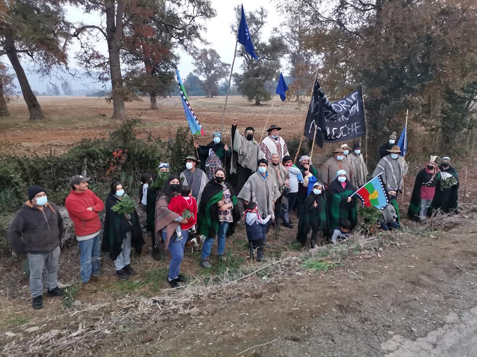Comunidad Molcoche de Pitrufquen inicia proceso de recuperación territorial