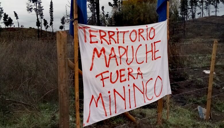 Trawün Mapuche Lavkenche reafirma recuperación territorial de la comunidad Juan Lincopan en fundo Ranquilhue
