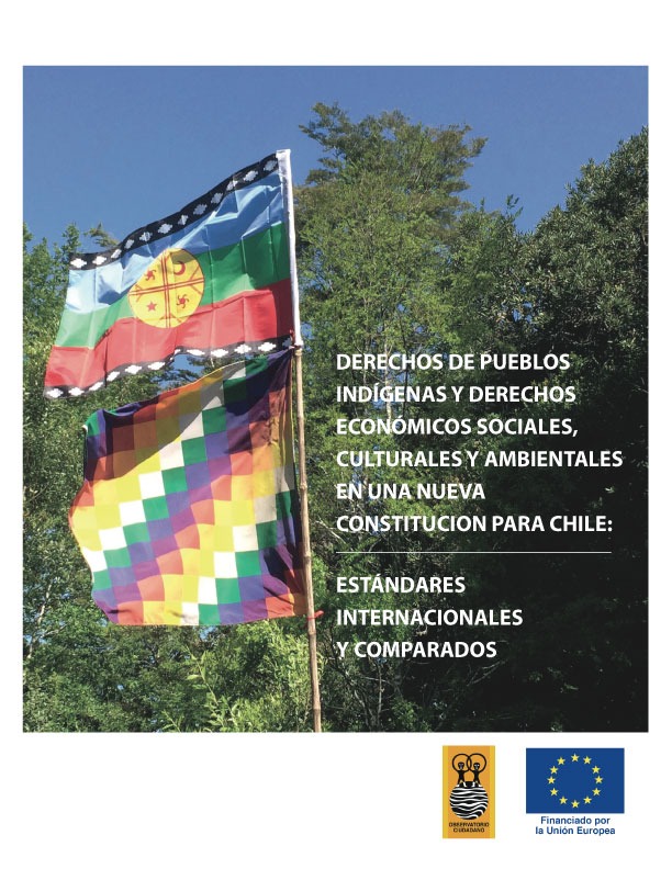 Derechos de pueblos indígenas y derechos económicos sociales, culturales y ambientales en una nueva constitución: estándares internacionales y comparados
