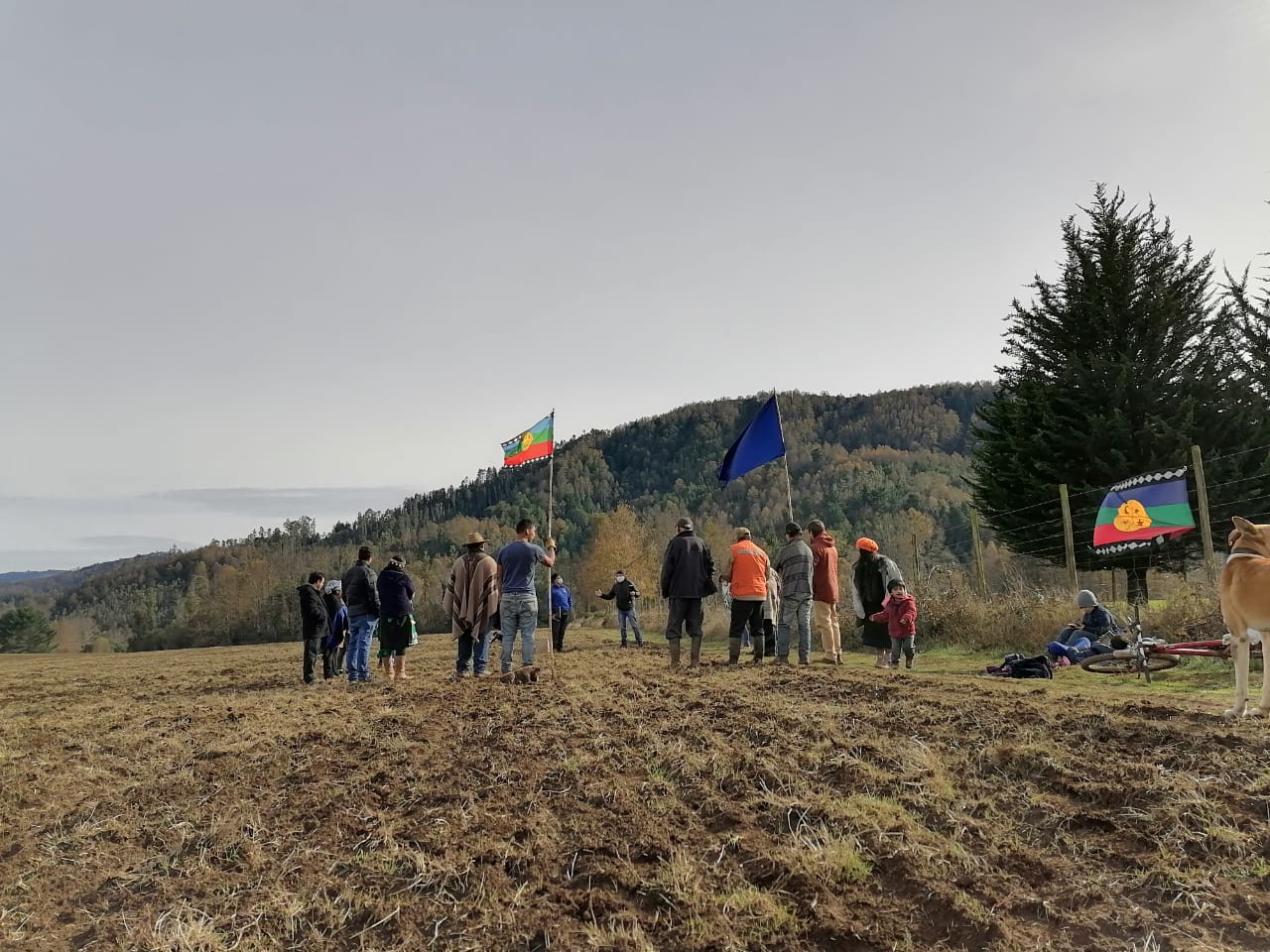 Loncoche: Convocan a nutxamkawun ante la amenaza de megaproyectos fotovoltaicos en territorio mapuche
