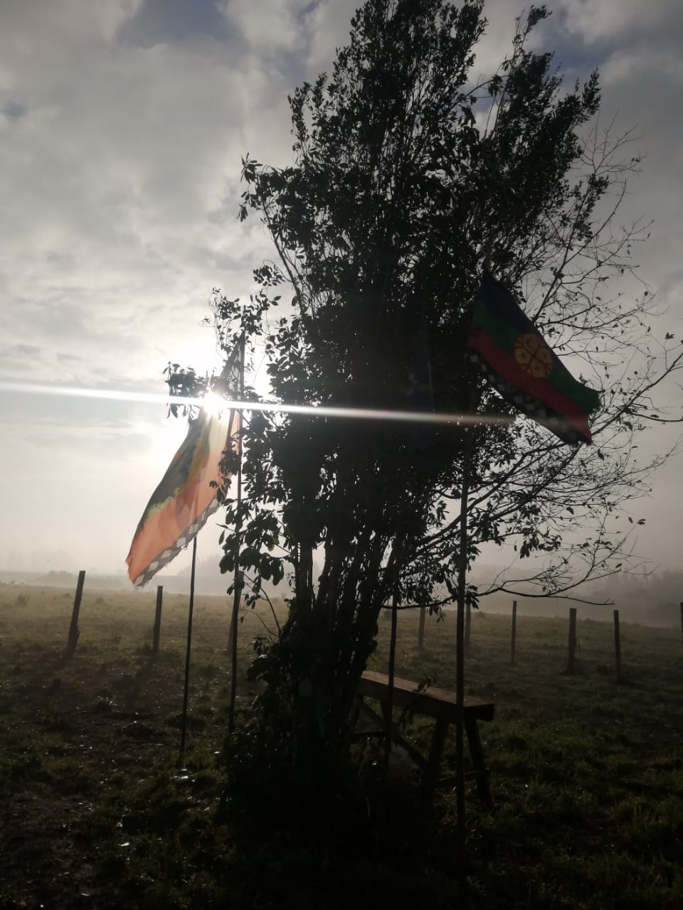 Comunicado sobre machi adolescente quien estuvo desaparecido