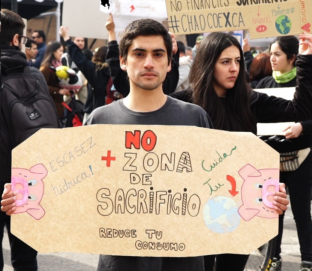 Nueva Constitución: el debate sobre los impactos socioambientales de la industria ganadera en Chile 