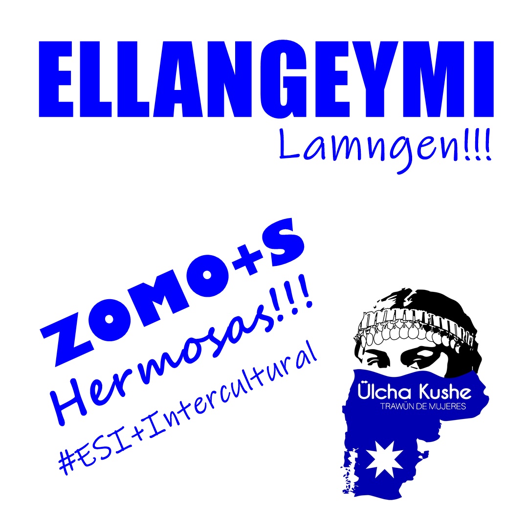 “Me dijeron India”: Mujer Mapuche, cuerpo y cánones de belleza