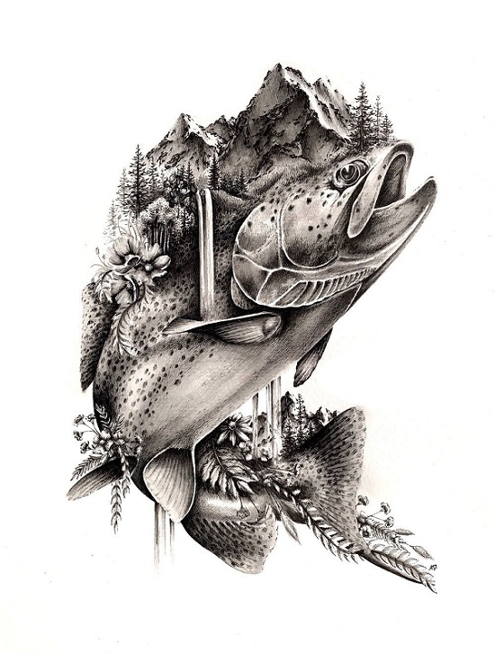 Colonización histórica : Geográfica del cultivo del salmón en la Patagonia