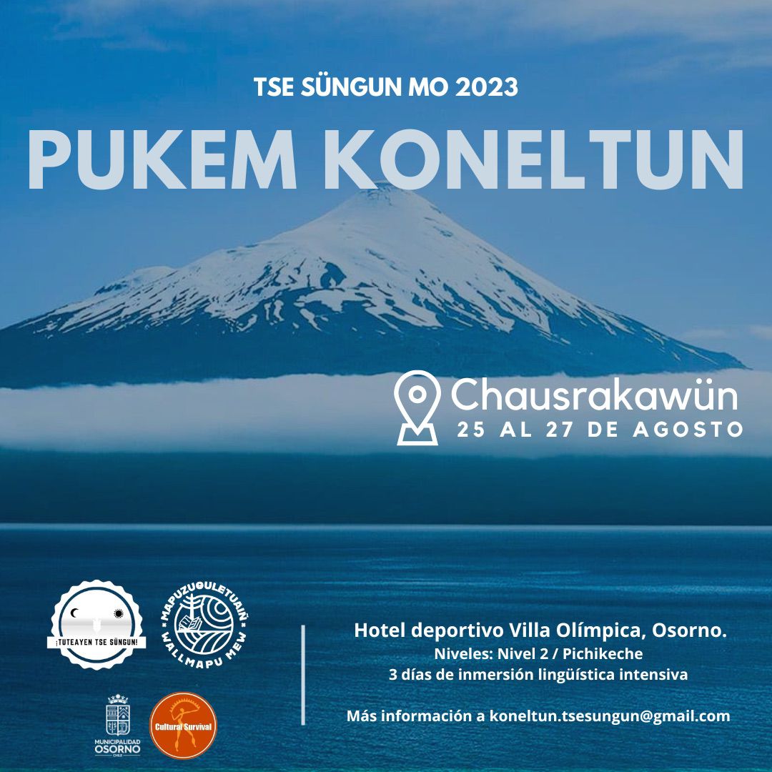 Últimos días para postular: Pukem Koneltun de Tse Sügun cierra sus inscripciones este domingo