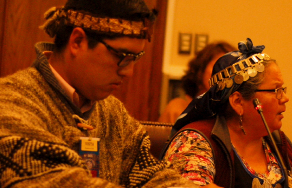 Comunidades exponen cuestionamientos a modificación de Ley Lafkenche ante Comisión de Pesca del Senado