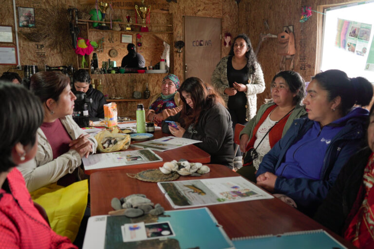 Tejiendo redes entre mujeres originarias del mar: acción política cotidiana y resistencia desde los territorios