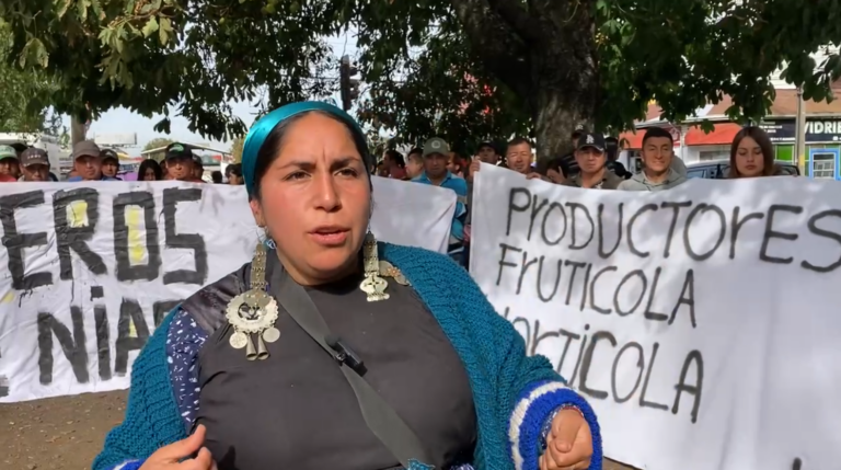 Declaración: Hortaliceros/as mapuche de la Araucanía denuncian campaña de criminalización por parte del Municipio de Temuco y medios de comunicación