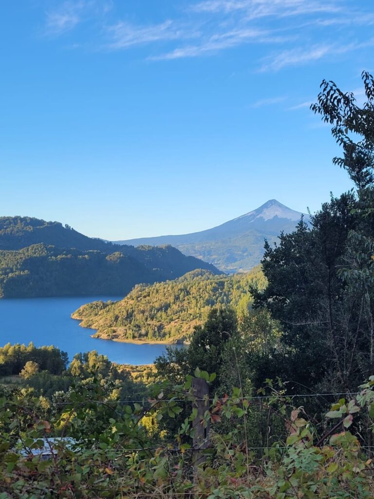 Diálogo de saberes y prácticas para la regeneración del bosque nativo en Pullinque Alto