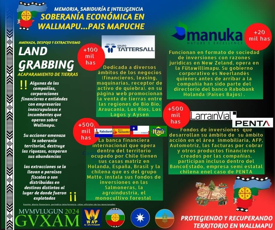 Proteger a Wallmapu de las verdaderas intenciones