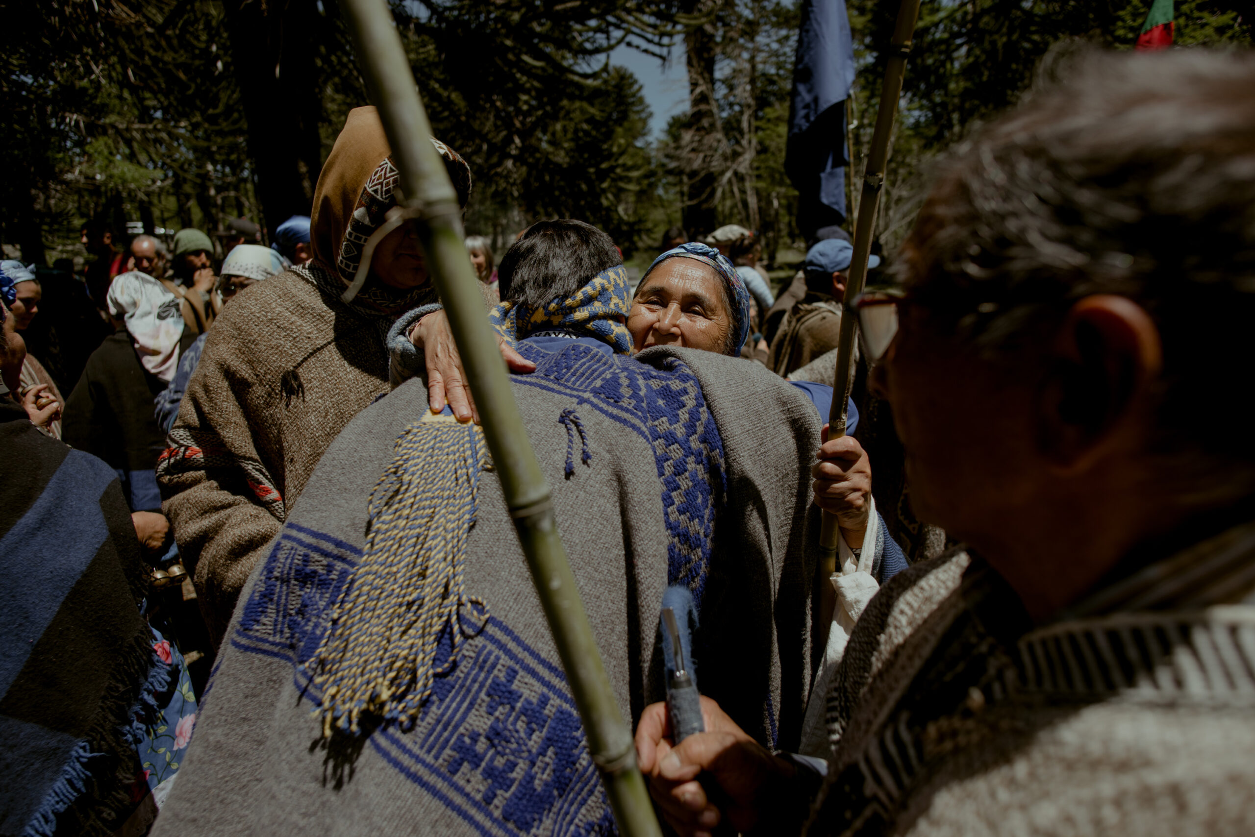 TERRITORIO MAPUCHE DE KURAREWE LOGRA HISTÓRICO CONVENIO PARA LA GOBERNANZA Y GESTIÓN DEL PARQUE NACIONAL VILLARRICA, SECTOR PUESCO LANIN