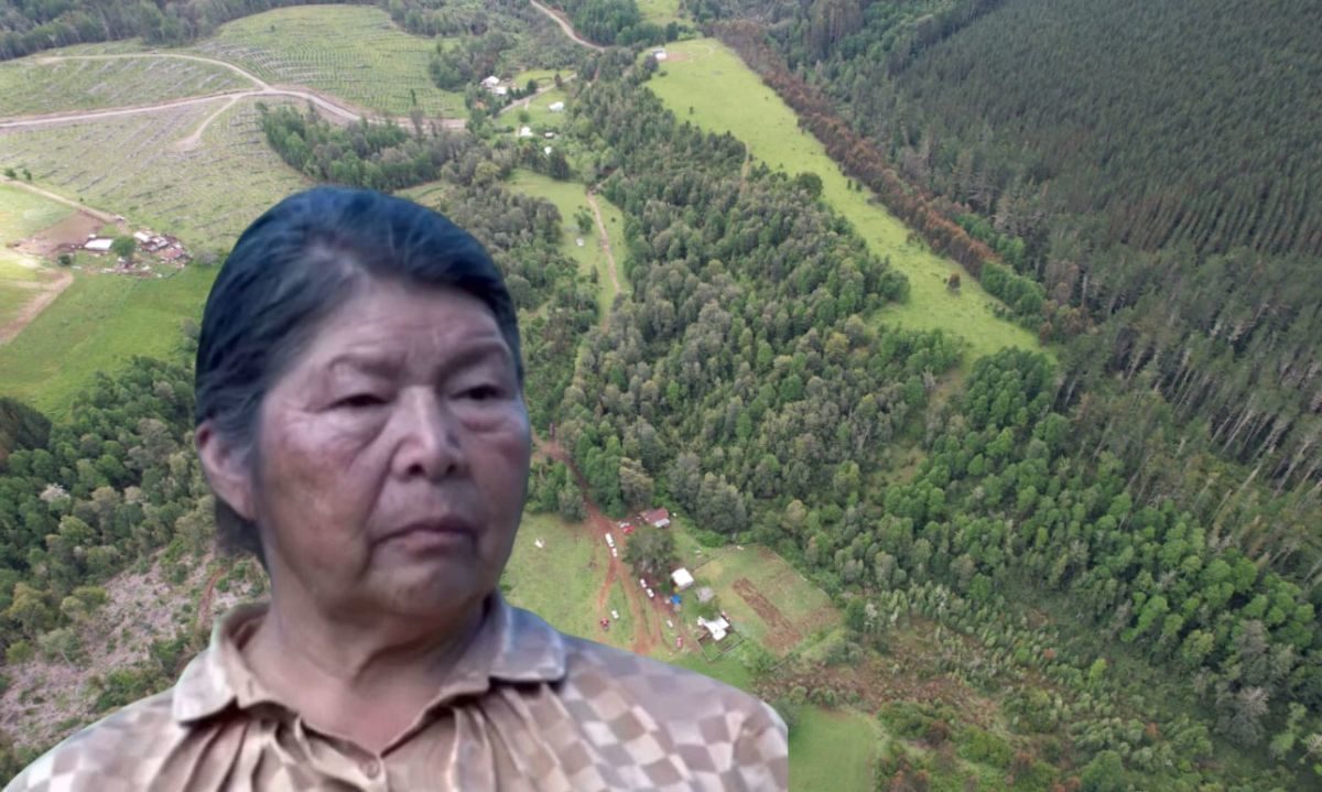 “Las mujeres rurales e indígenas exigimos justicia y respuestas para la lamgen Julia Chuñil”