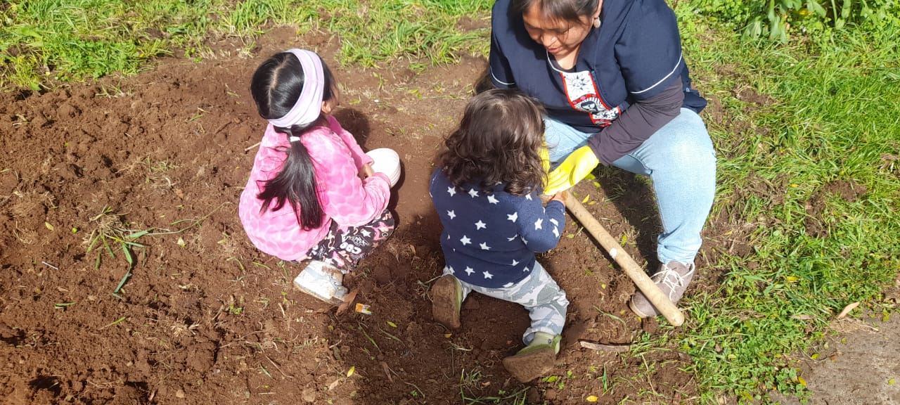 Carahue: Rayinko Kimeltuwe inicia campaña de recolección de materiales para pichikeche