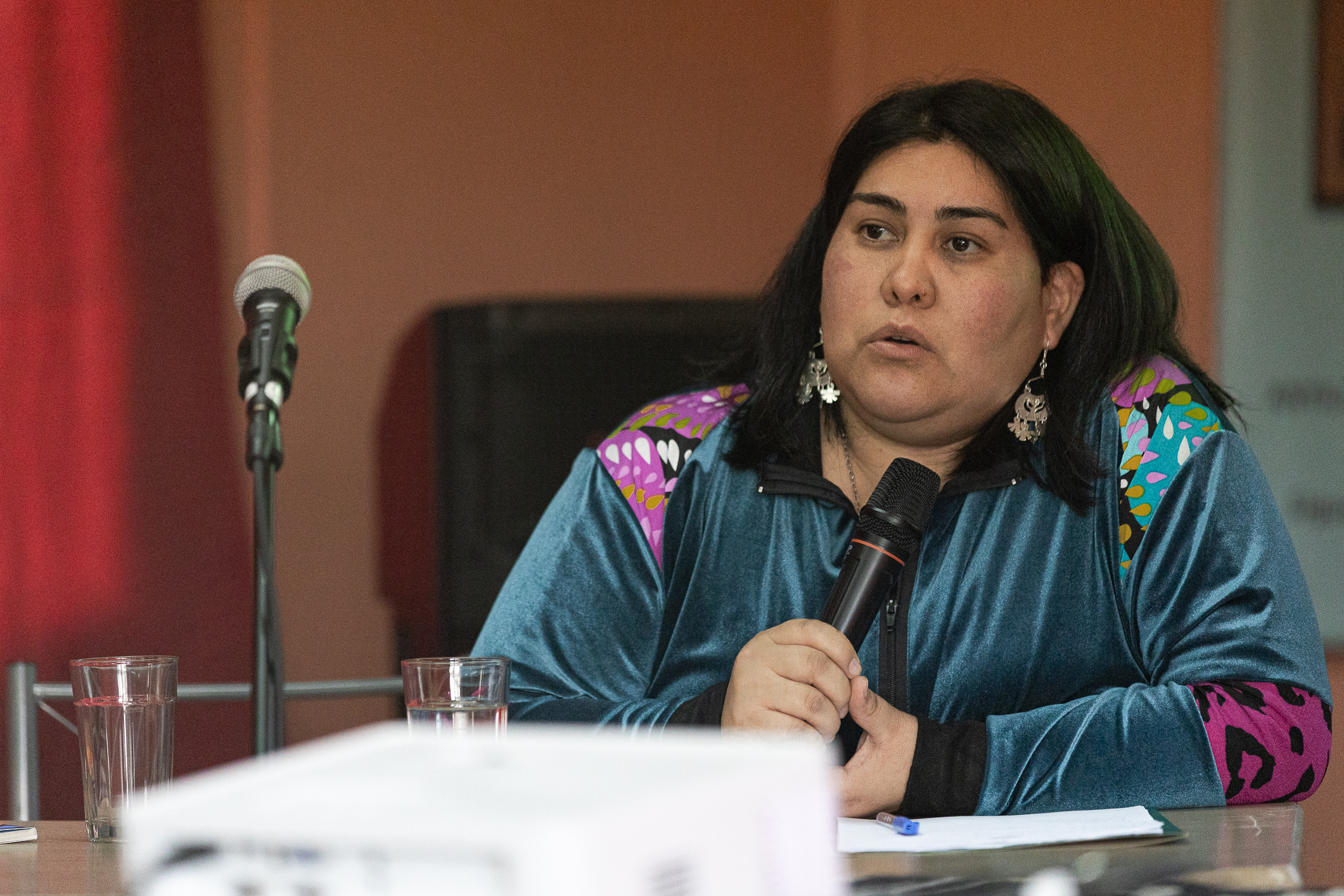 Las mujeres Mapuche desafían los cercos de la estatalidad: por debajo y por encima